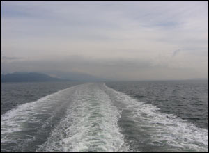 عکس از پدرام دارايی زاده