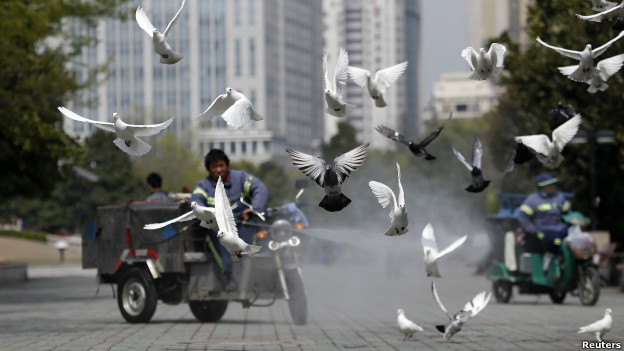 中國清潔工人在公園裏為禽類做清理