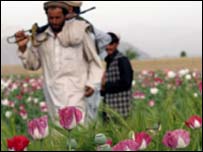 شبه نظامیان افغانستان