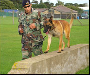 K-9 US Air Force dog unit