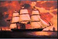 Llun oddi ar glawr llyfr Elvey Macdonald,  'Dyddiadur Mimosa'