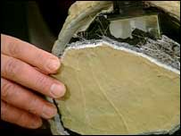 Попереднього разу Росія звинувачувала Британію в шпигунстві за допомогою каменя, нашифрованого передавачами