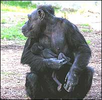 Teresa com a sua bebê, Tracy (Foto: Amy Fultz)