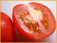  ٹماٹر کی دریافت سب سے پہلے پیرو میں ہوئی تھی۔