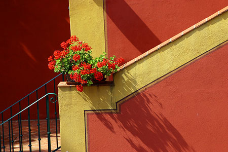 Wall with a hanging basket of flowers, photo by Tom Ang