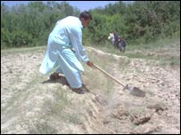 پلوان شريکی