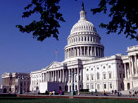 The Capitol Building in Washington DC, USA