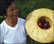 Angelina Mendoza with her harvest of macopa fruit