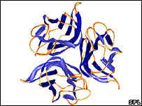 Fator de necrose tumoral alfa