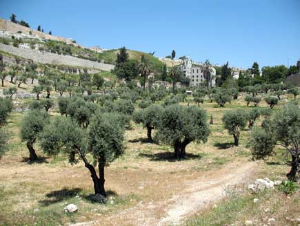 The valley rises to the left of the photograph while small shrubs cover its floor all the way from the foreground to a white stone building visible in the the distance