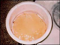 روٹی کا سوال