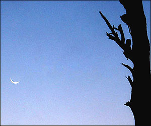 عکس از نجيب الله مسافر