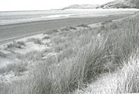 Ynyslas
