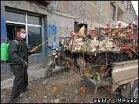 کارگر چينی يک وانت پر از ماکيان را ضدعفونی می کند