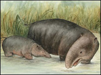 Cortesia Luci Betti-Nash, Stony Brook University 