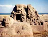 समुद्र से निकले अवशेष