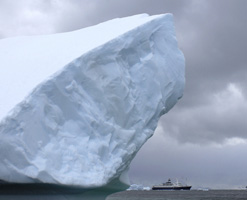 Tourist ships in Antarctica - a threat to the fragile ecosystem.