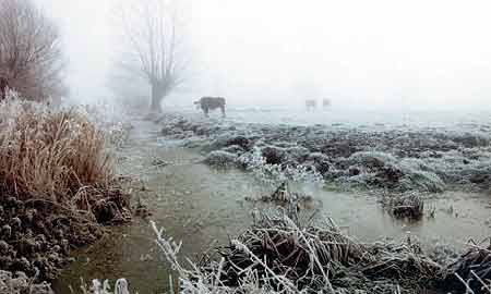 Somerset Levels and Moors