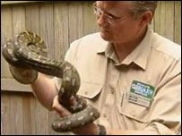 Cobra e veterinário Michael Pyne