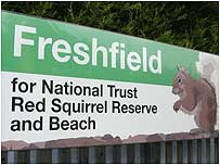 Freshfiled sign