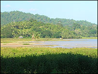 Andaman ve Nicobar'da hala su altında bulunan tarlalar