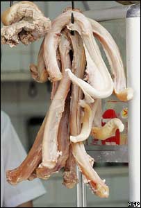 Pênis de boi cozido