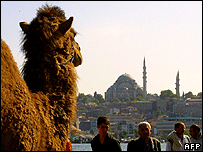 İstanbul'da bir deve