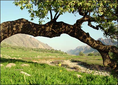 منظره زیبایی از طبیعت