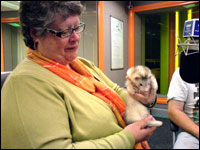 Woman and ferret in radio studio