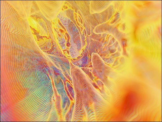 Coração (Foto: Cortesia Dr. Kai-hung Fung)