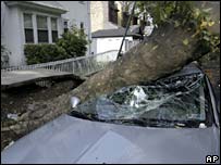 Árvore em cima de carro em NY