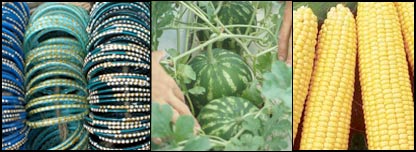 چوری های رنگارنگ