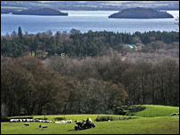 英国大学的农学排名