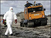 آنفلوانزای مرغی در جزیره آلمانی روئگن 