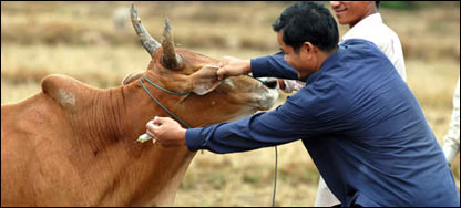 د څارويو واکسين