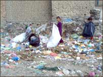 وړه جلۍ د کاغذونو د ټولو پر مهال