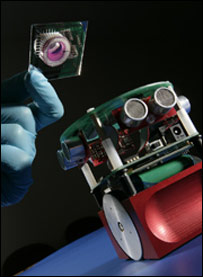 robô controlado por neurônios de ratos