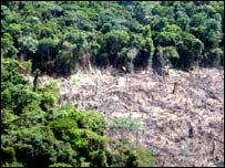 Porção desmatada da Amazônia