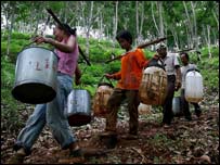 جنوب مغربی صوبہ یونن