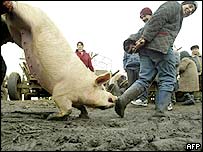 Romanya'da bir domuz pazarı