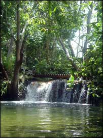 Cachoeira em paraíso natural (Foto: Samanti de Silva)