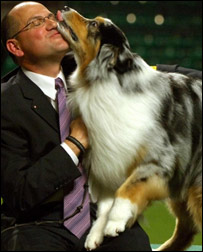 विजेता कुत्ता चांस