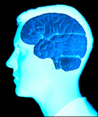 جريان خون در مغز