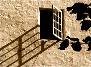 عکس از مليکا محمودی