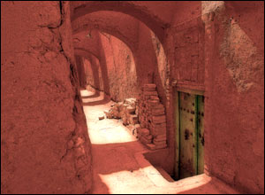 عکس از افشين ديهيم پناه