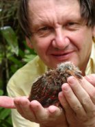 Carl Jones with a baby Pink Pigeon