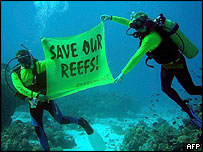 mergulhadores do Greenpeace