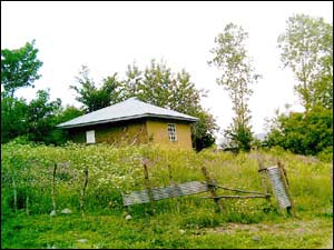 عکس از سید وحید حسینی