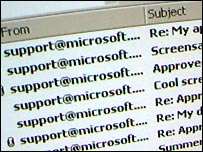 वायरस के बीस साल हुए