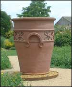 View of Ryton Organic Garden 